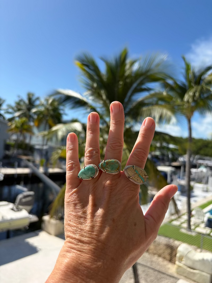 Hand with multiple rings in front of a marina with palm trees