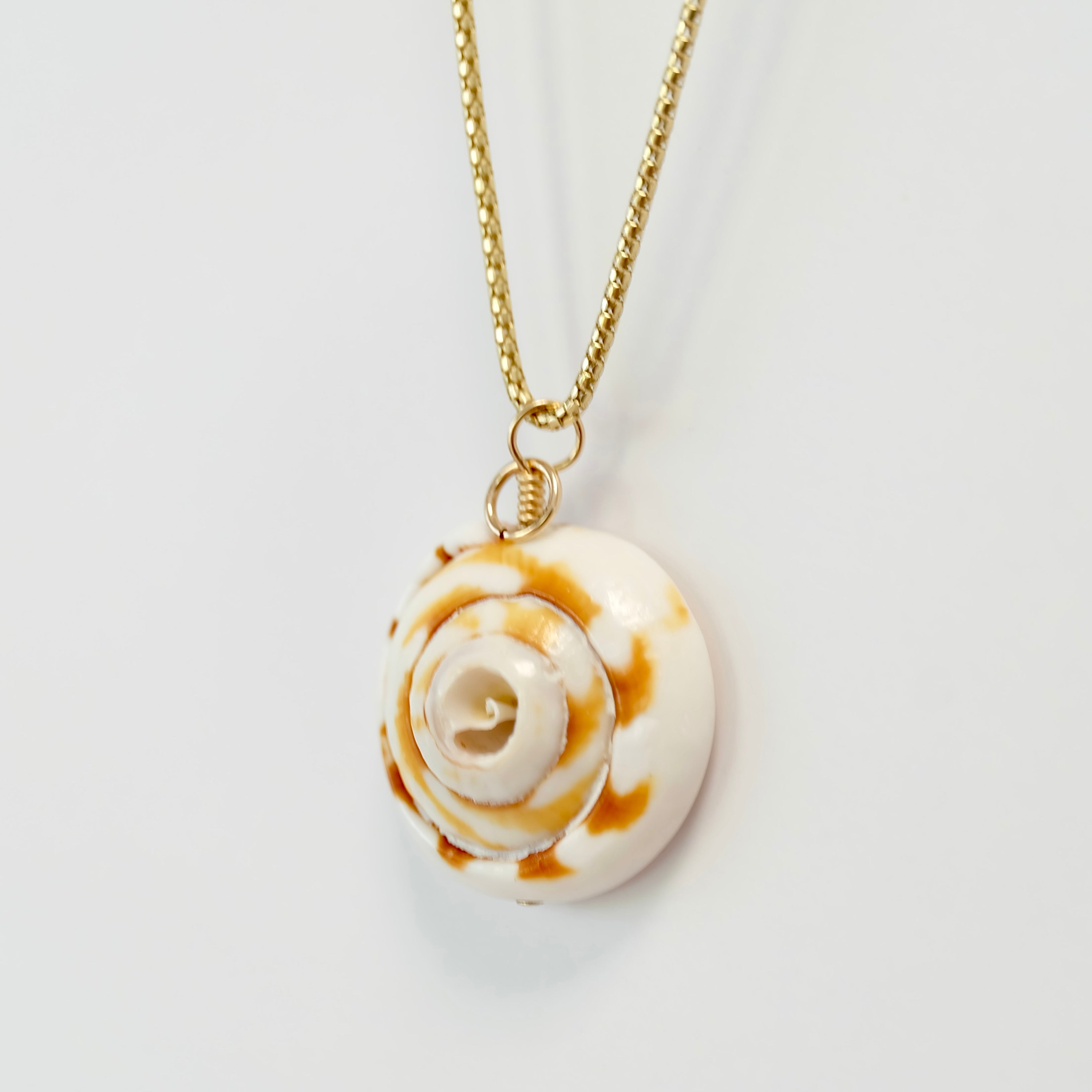 Natural sea shell charm finished in 14K gold-filled wire