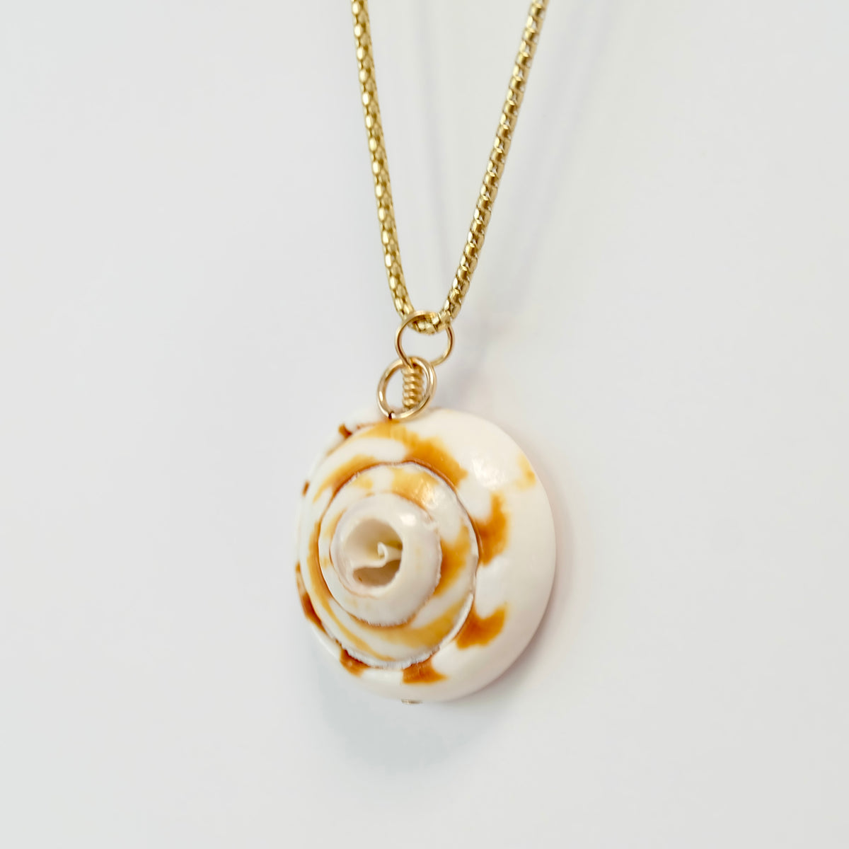 Natural sea shell charm finished in 14K gold-filled wire