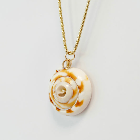 Natural sea shell charm finished in 14K gold-filled wire